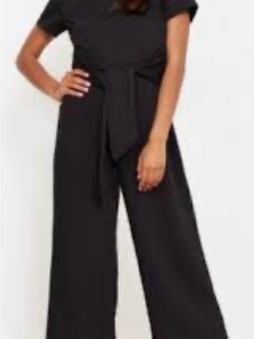 Modern Citizen Black Wide-Leg Jumpsuit with Waist Tie, M